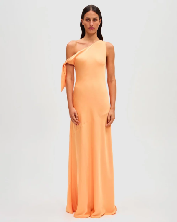 Zhuri Satin Gown